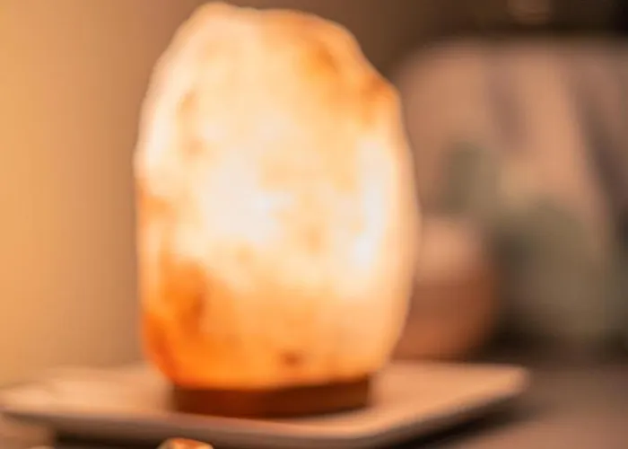 酒店 Felix - La Coluccia