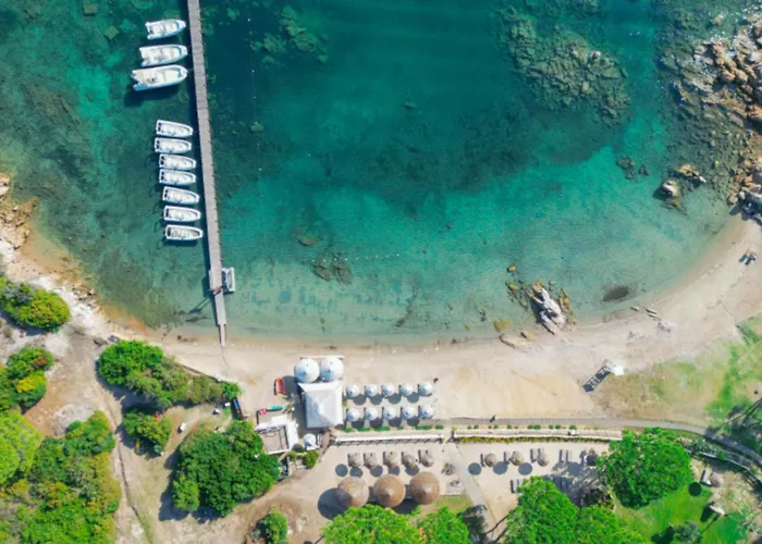 Felix - La Coluccia 圣特雷莎加卢拉