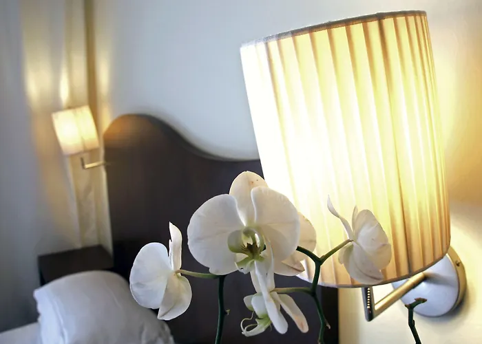 酒店 Felix - La Coluccia