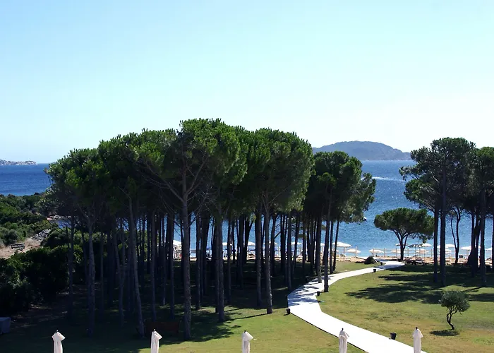 Felix - La Coluccia 圣特雷莎加卢拉